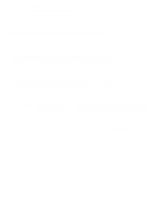 Politics